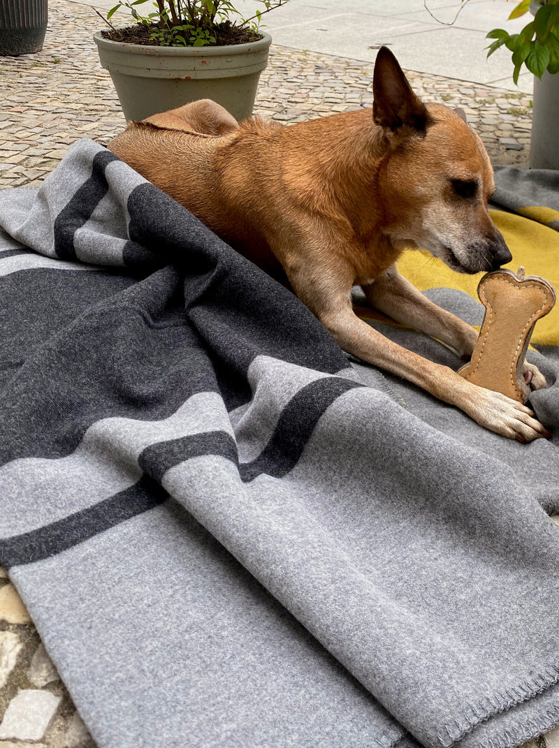 Weiche Hundedecke mit Streifenmuster in Grau Schwarz und quadratisch aus Merino gewebt für Haustiere als Kuscheldecke im Hundebett oder Sofa und auf Reisen mit Nachhaltigkeit und als das perfekte Geschenk zu Weihnachten für Hundeliebhaber