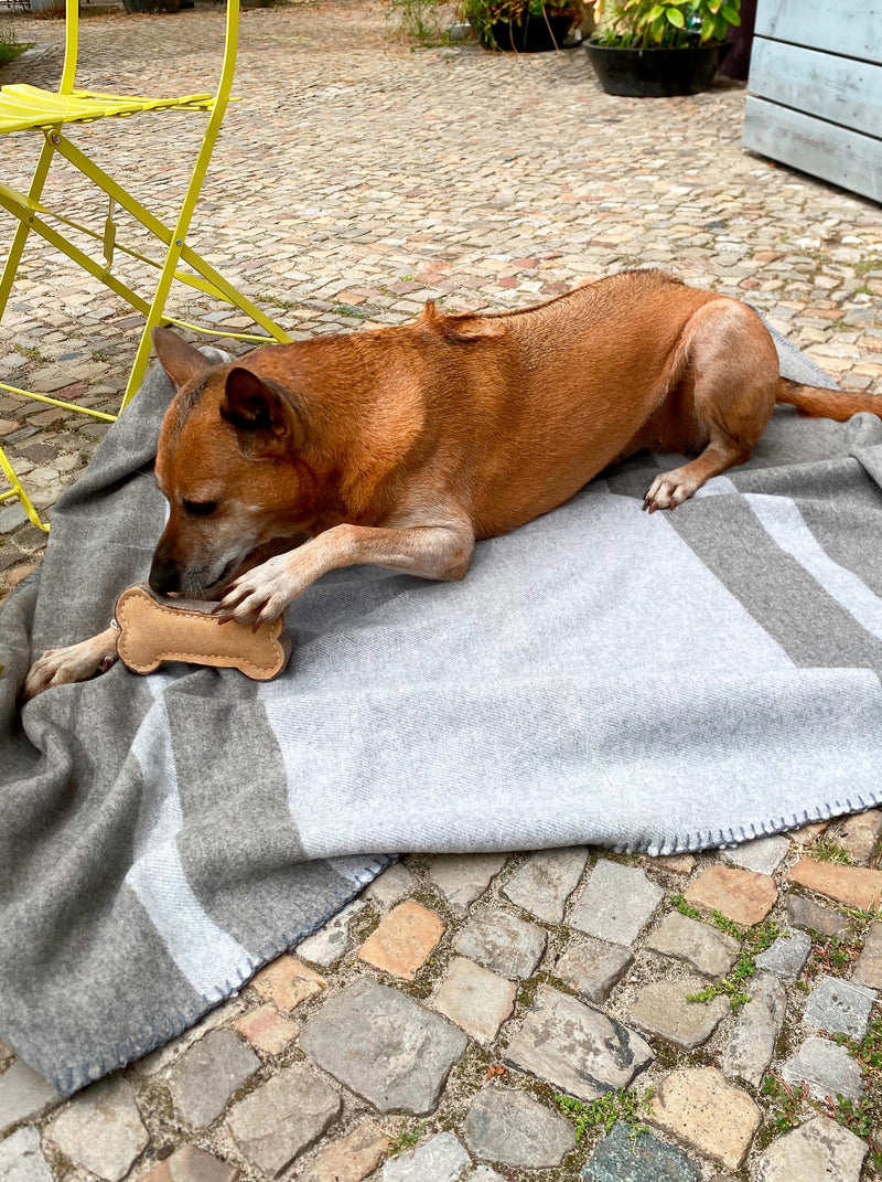 Weiche Hundedecke mit Streifenmuster in Grau Hell und quadratisch aus Merino gewebt für Haustiere als Kuscheldecke im Hundebett oder Sofa und auf Reisen als das perfekte Geschenk